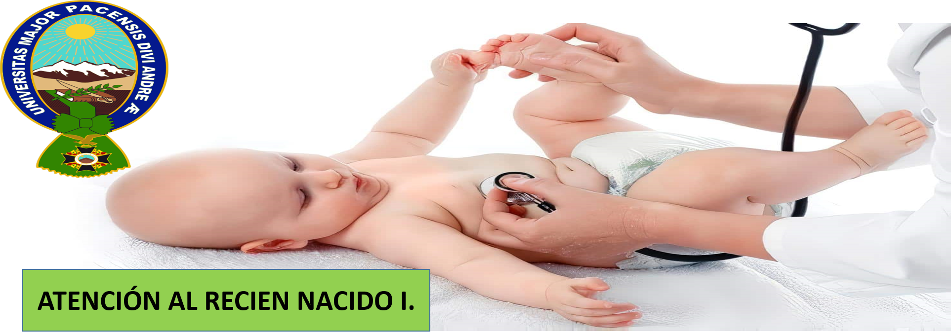 MODULO DE ATENCIÓN AL RECIEN NACIDO